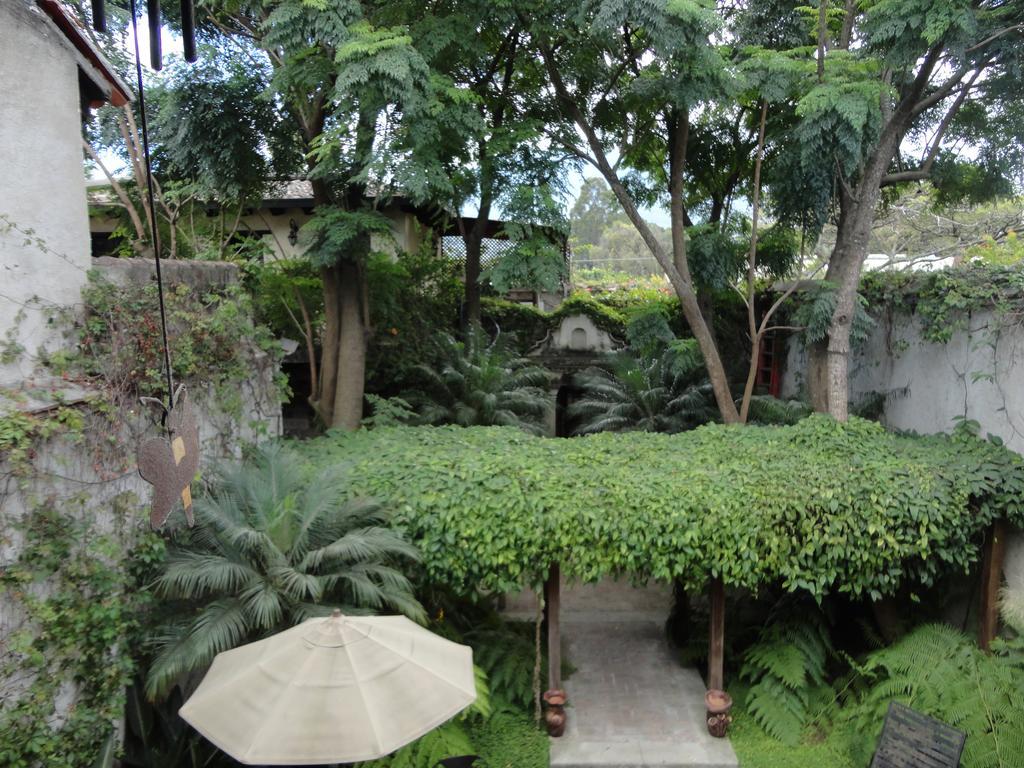 Cissus Hotel Boutique (Adults Only) Antigua Kültér fotó