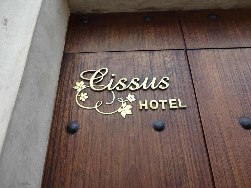 Cissus Hotel Boutique (Adults Only) Antigua Szoba fotó
