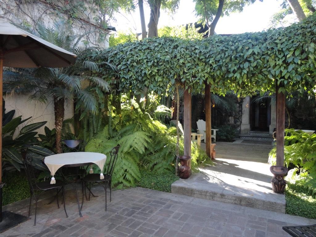 Cissus Hotel Boutique (Adults Only) Antigua Kültér fotó