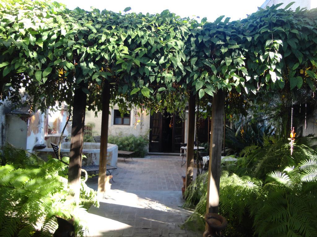 Cissus Hotel Boutique (Adults Only) Antigua Kültér fotó
