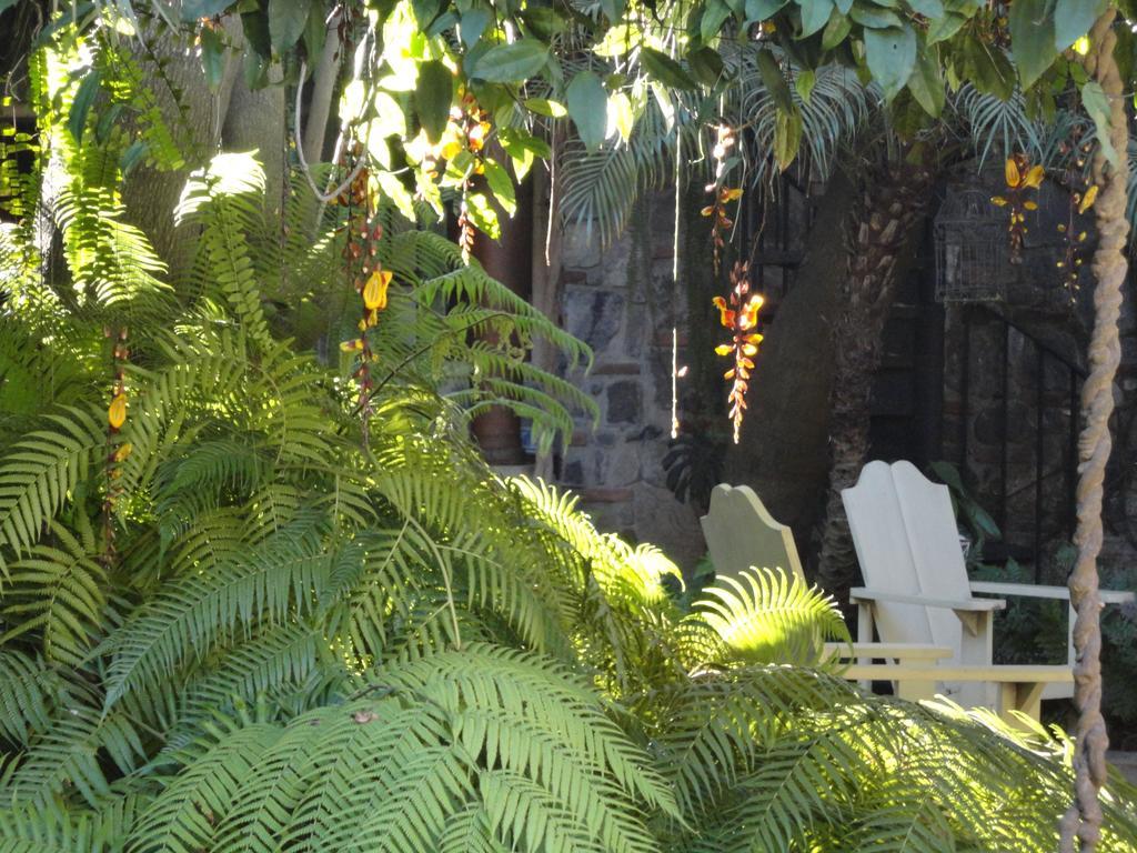 Cissus Hotel Boutique (Adults Only) Antigua Kültér fotó