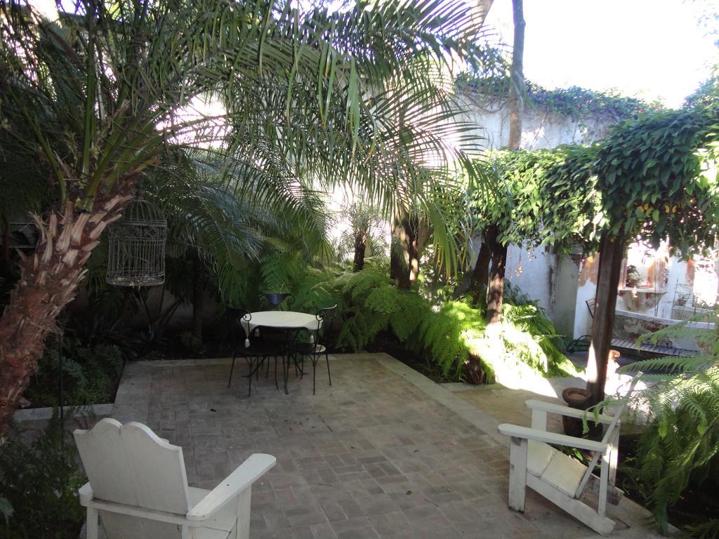 Cissus Hotel Boutique (Adults Only) Antigua Kültér fotó
