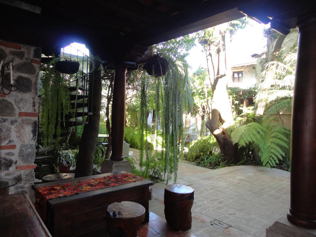 Cissus Hotel Boutique (Adults Only) Antigua Kültér fotó