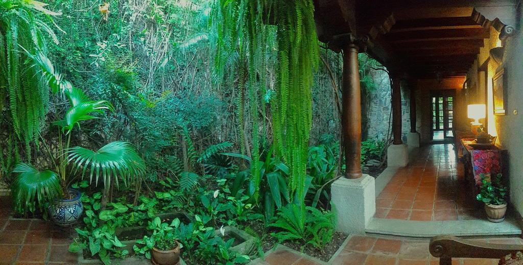 Cissus Hotel Boutique (Adults Only) Antigua Kültér fotó