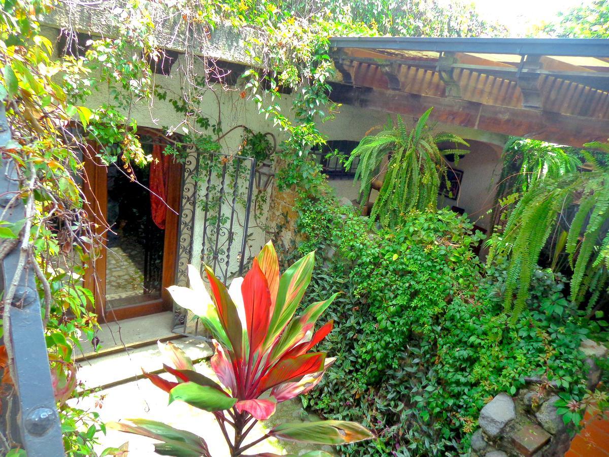 Cissus Hotel Boutique (Adults Only) Antigua Kültér fotó